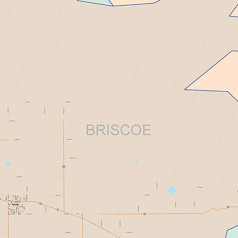 Briscoe County, TX Colorcast Style Wall Map