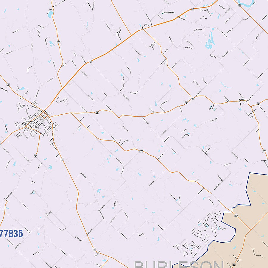 Burleson County, TX Colorcast Style Wall Map