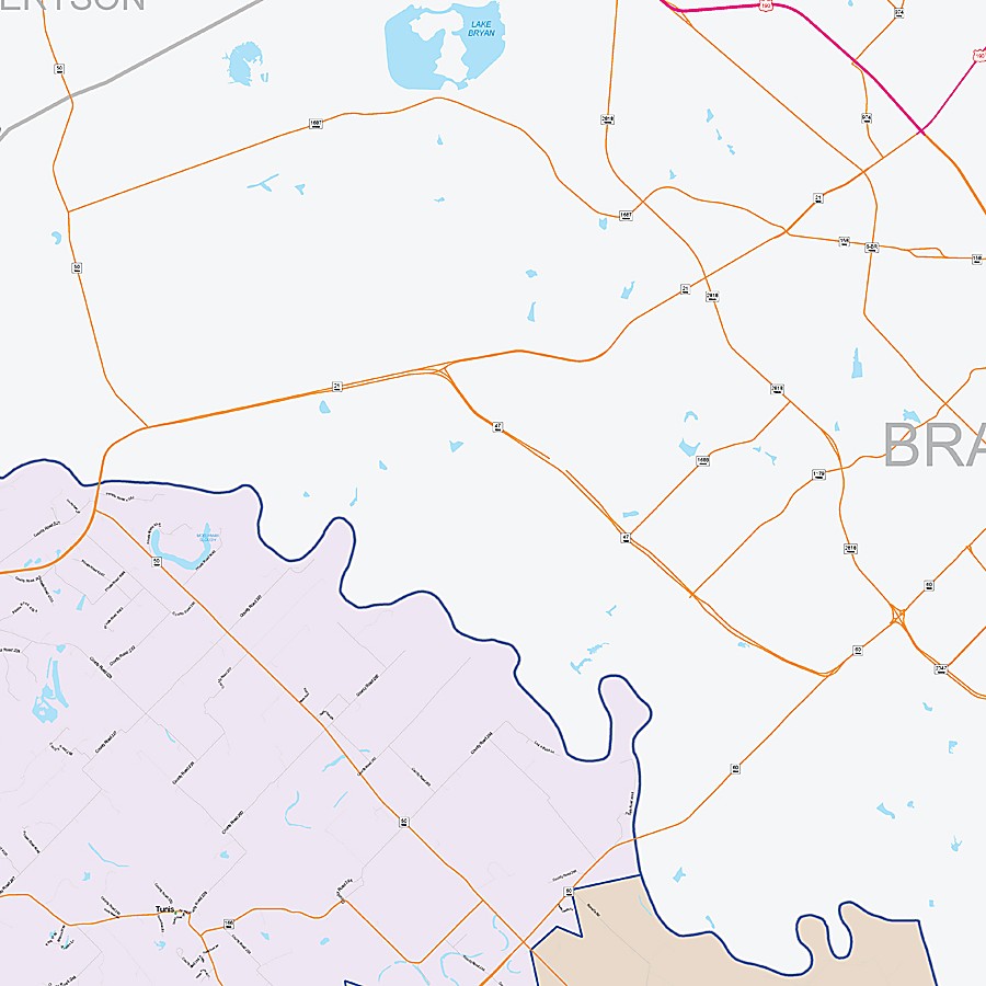 Burleson County, TX Colorcast Style Wall Map