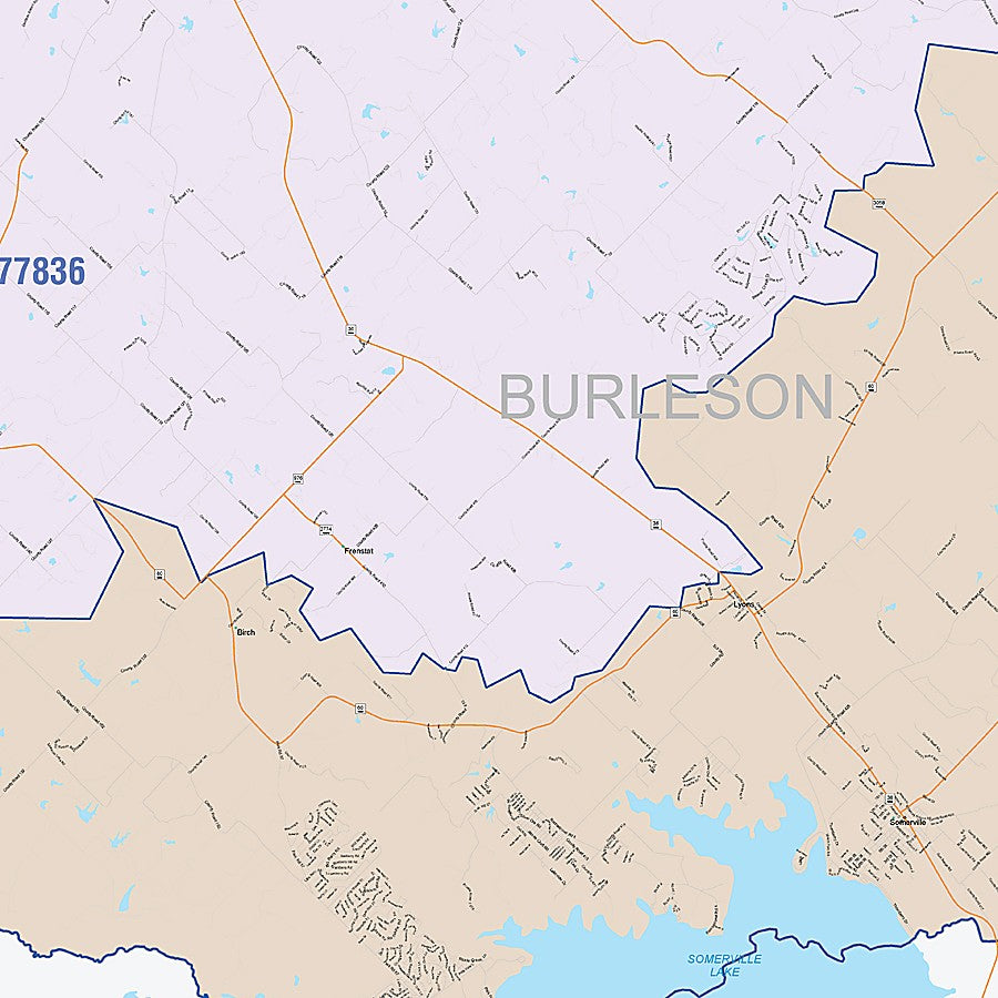 Burleson County, TX Colorcast Style Wall Map