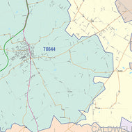Caldwell County, TX Colorcast Style Wall Map