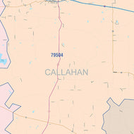 Callahan County, TX Colorcast Style Wall Map