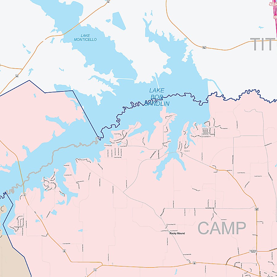 Camp County, TX Colorcast Style Wall Map