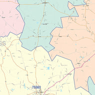 Cass County, TX Colorcast Style Wall Map