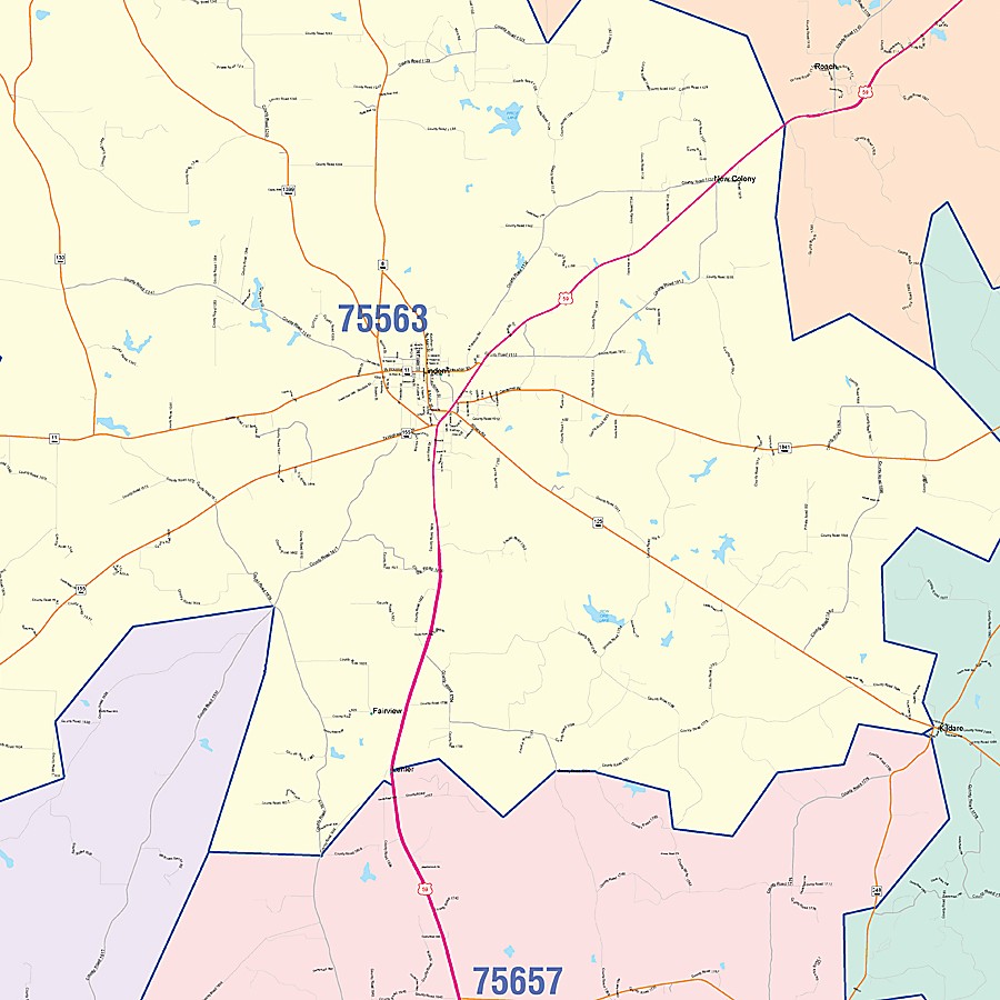 Cass County, TX Colorcast Style Wall Map