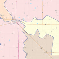 Castro County, TX Colorcast Style Wall Map