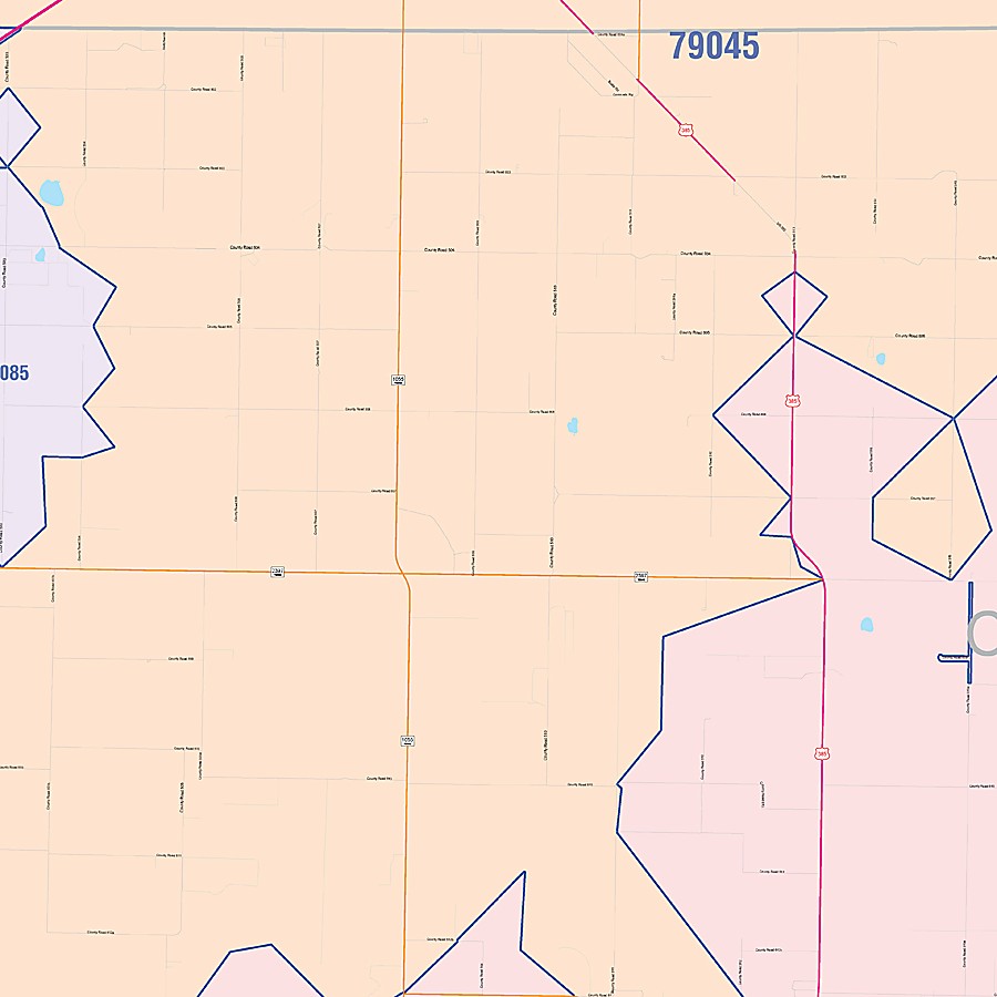 Castro County, TX Colorcast Style Wall Map