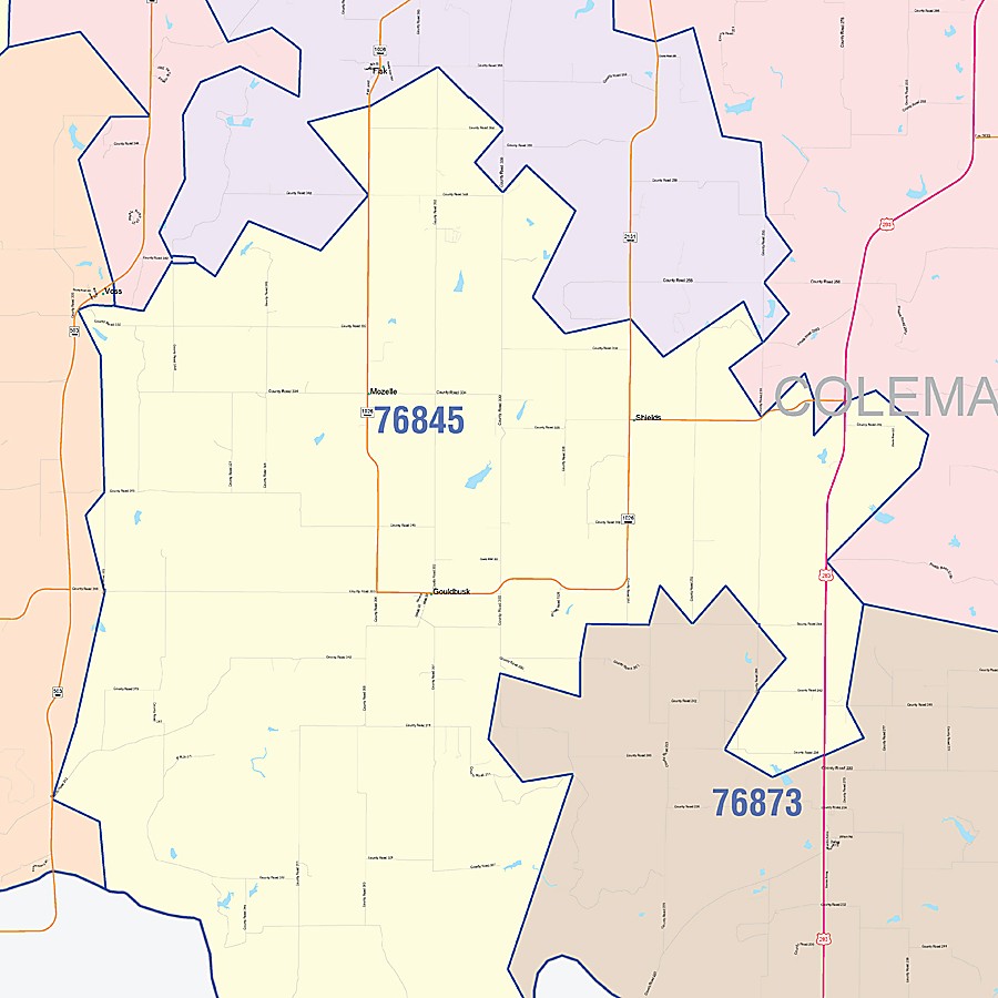 Coleman County, TX Colorcast Style Wall Map