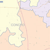 Concho County, TX Colorcast Style Wall Map