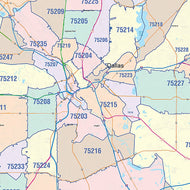 Dallas County, TX Colorcast Style Wall Map