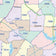 Dallas County, TX Colorcast Style Wall Map