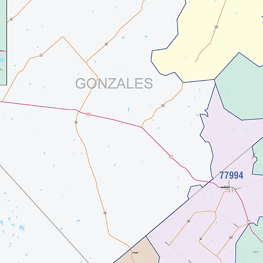 DeWitt County, TX Colorcast Style Wall Map