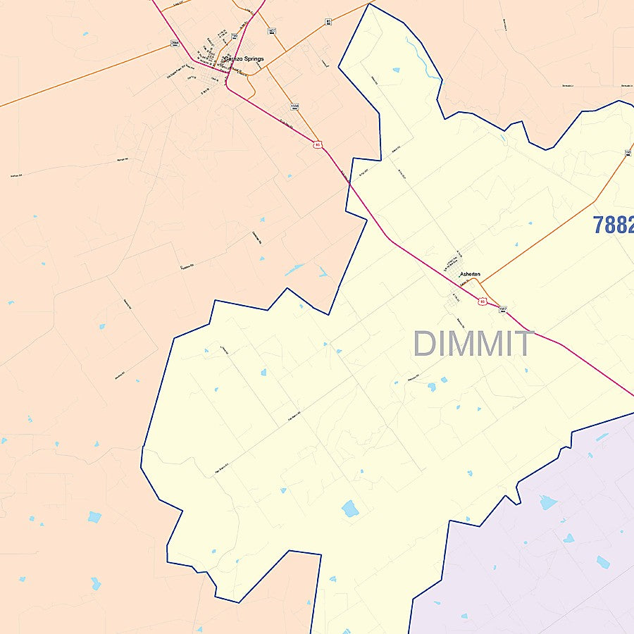 Dimmit County, TX Colorcast Style Wall Map