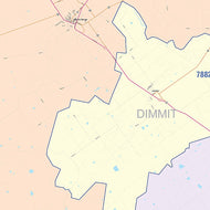Dimmit County, TX Colorcast Style Wall Map