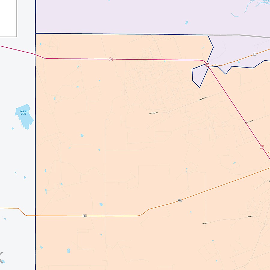 Dimmit County, TX Colorcast Style Wall Map