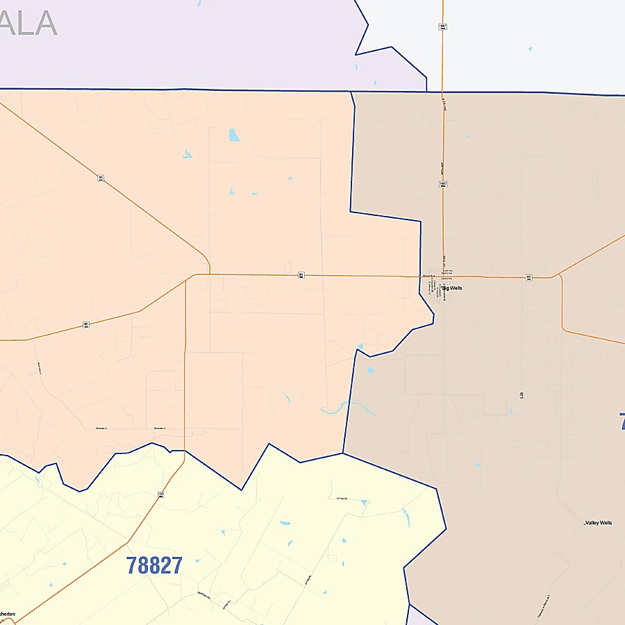 Dimmit County, TX Colorcast Style Wall Map