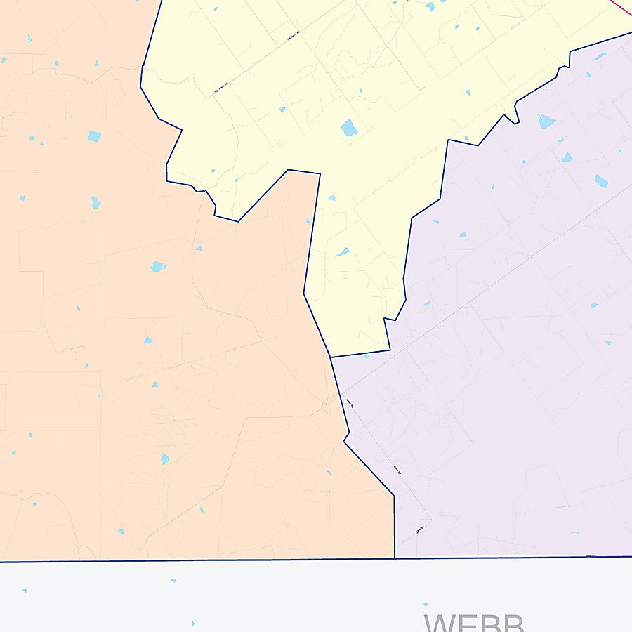 Dimmit County, TX Colorcast Style Wall Map