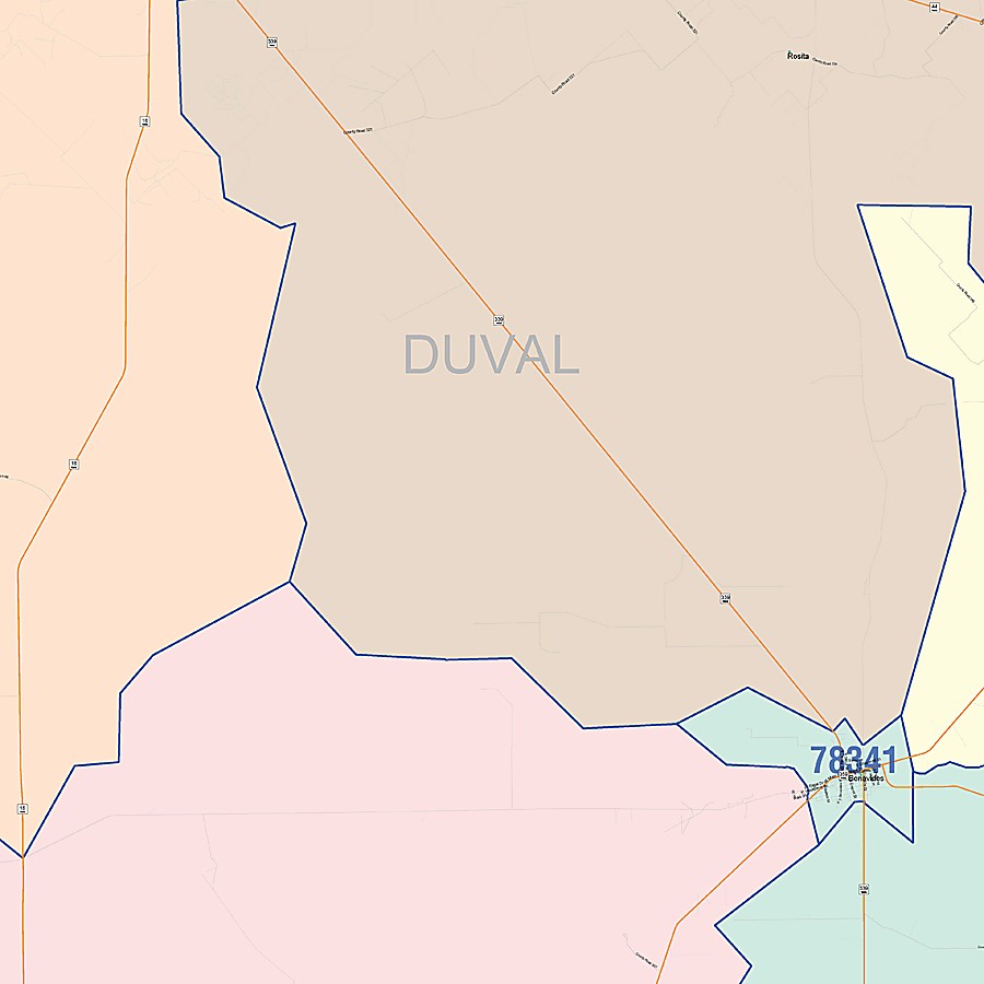Duval County, TX Colorcast Style Wall Map
