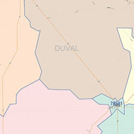 Duval County, TX Colorcast Style Wall Map