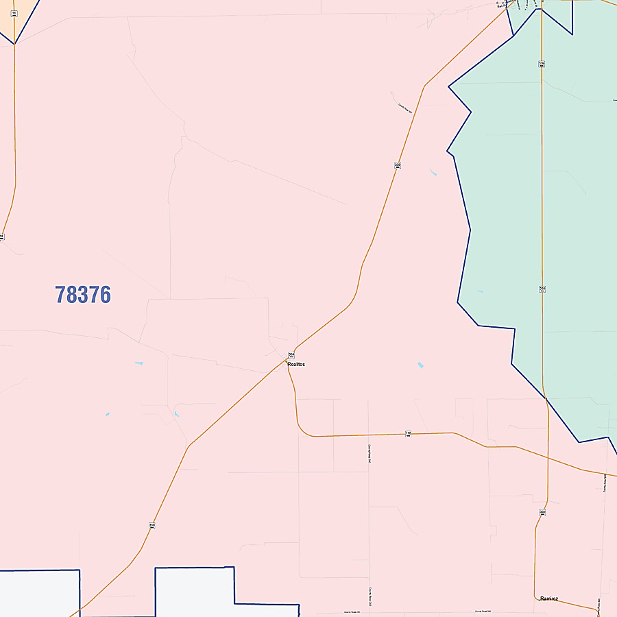 Duval County, TX Colorcast Style Wall Map