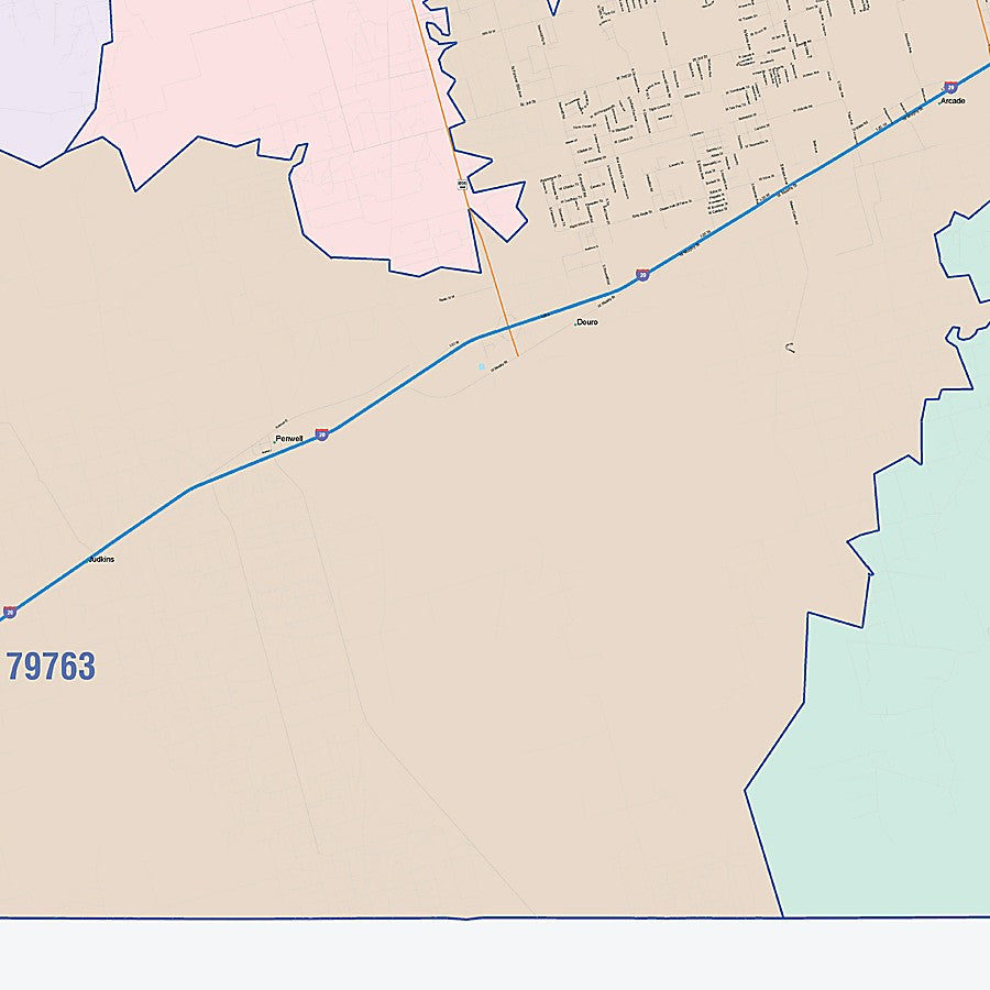 Ector County, TX Colorcast Style Wall Map