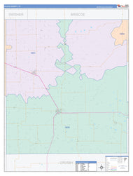 Floyd County, TX Colorcast Style Wall Map