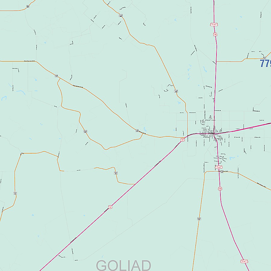 Goliad County, TX Colorcast Style Wall Map