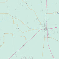Goliad County, TX Colorcast Style Wall Map