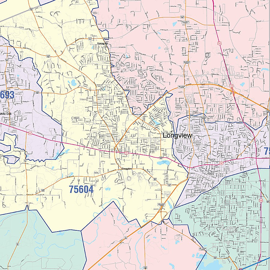 Gregg County, TX Colorcast Style Wall Map
