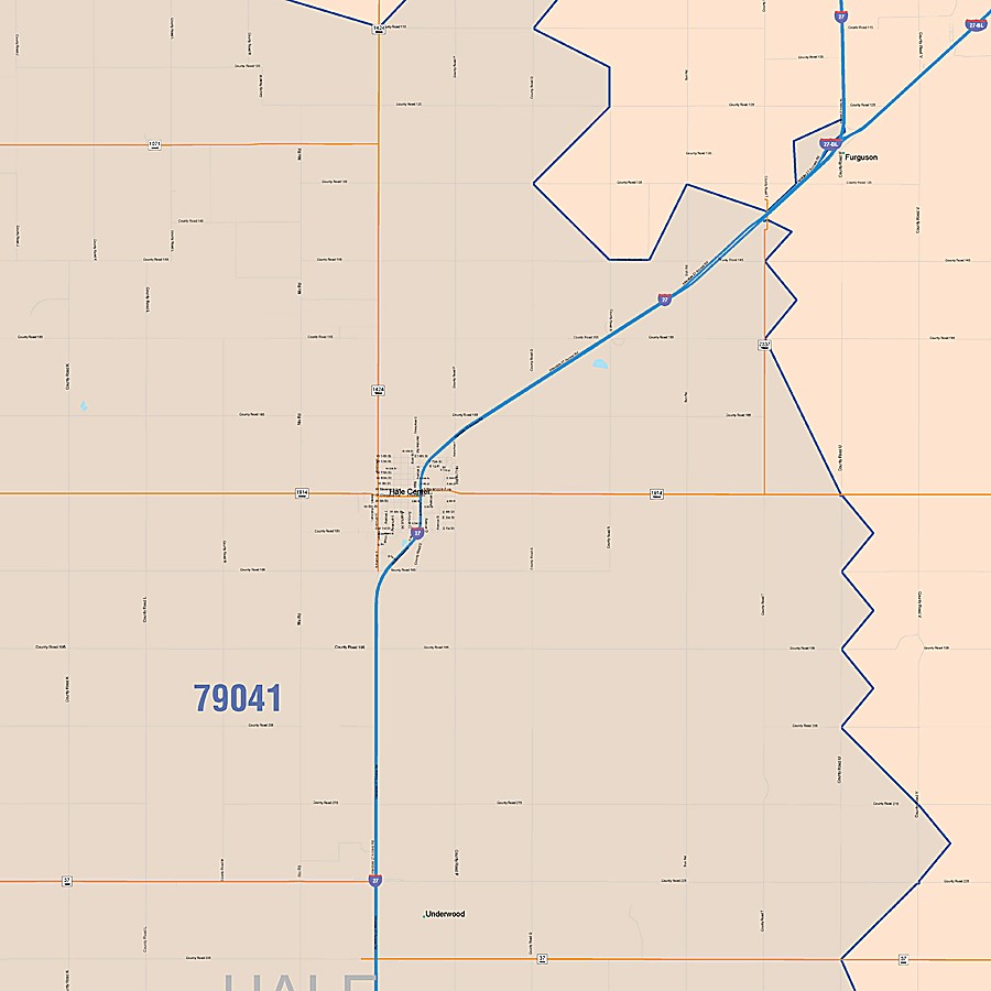 Hale County, TX Colorcast Style Wall Map