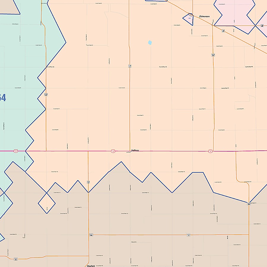 Hale County, TX Colorcast Style Wall Map