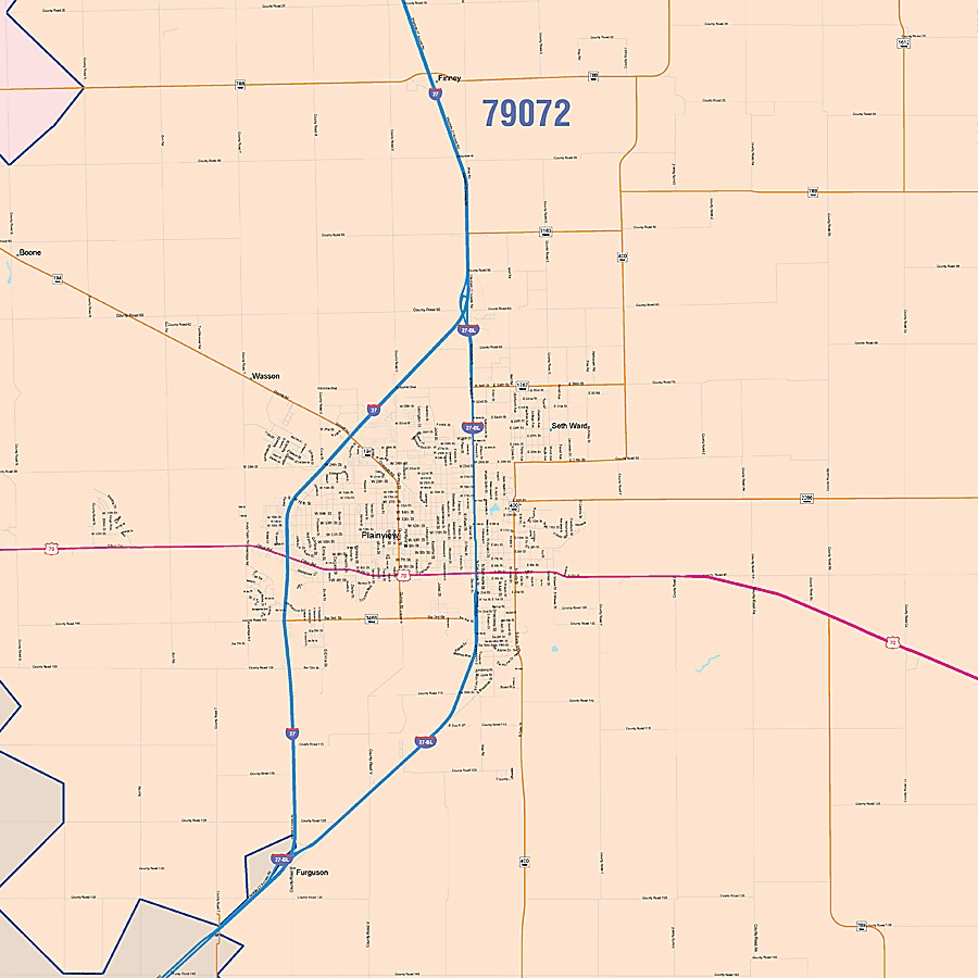 Hale County, TX Colorcast Style Wall Map