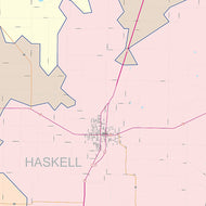 Haskell County, TX Colorcast Style Wall Map