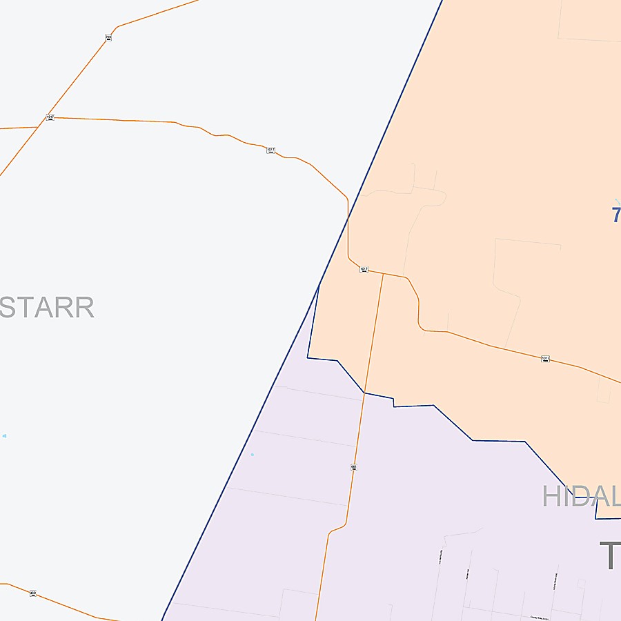 Hidalgo County, TX Colorcast Style Wall Map
