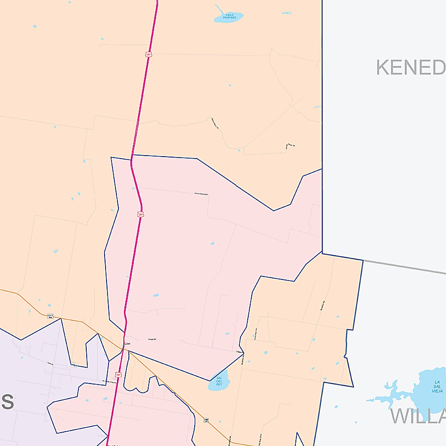 Hidalgo County, TX Colorcast Style Wall Map