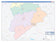 Houston County, TX Colorcast Style Wall Map
