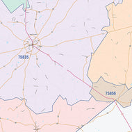 Houston County, TX Colorcast Style Wall Map