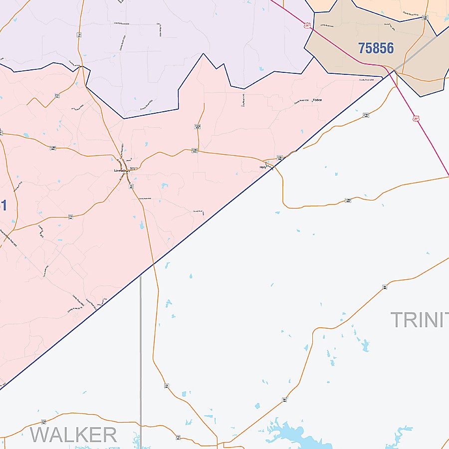 Houston County, TX Colorcast Style Wall Map