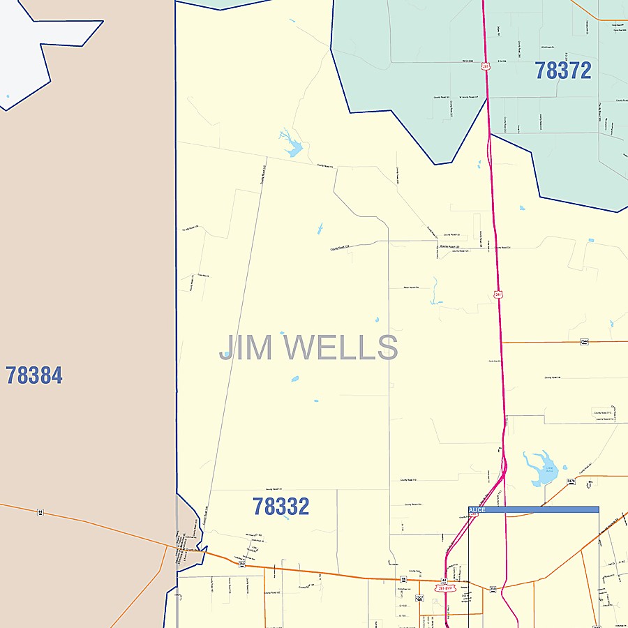 Jim Wells County, TX Colorcast Style Wall Map