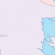 Kenedy County, TX Colorcast Style Wall Map