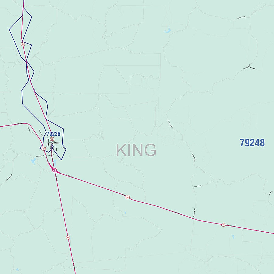 King County, TX Colorcast Style Wall Map