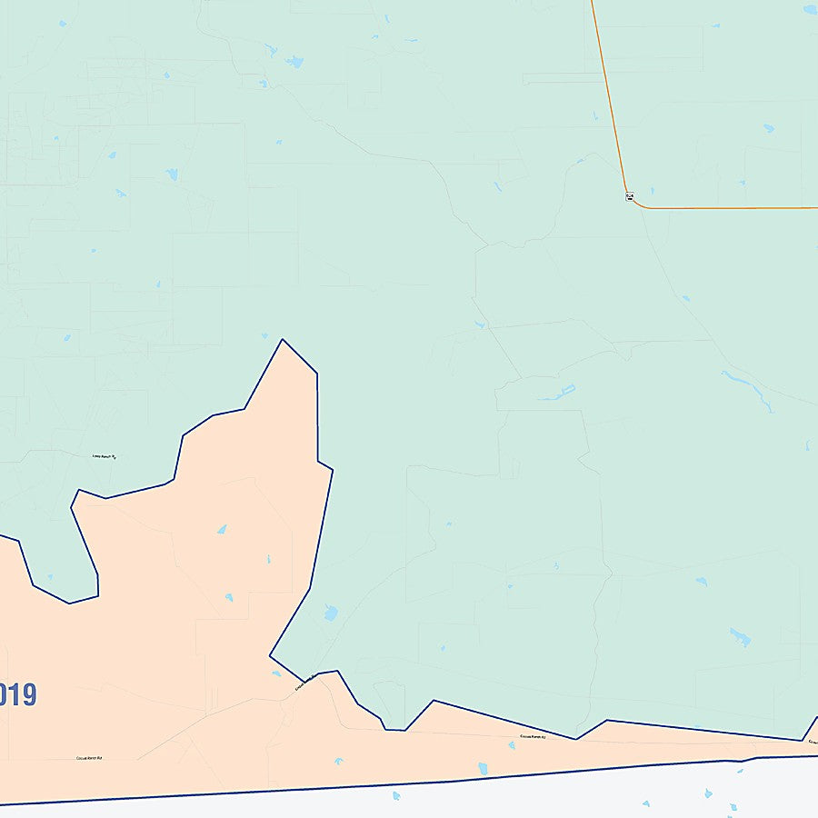 La Salle County, TX Colorcast Style Wall Map