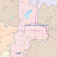 Lamar County, TX Colorcast Style Wall Map