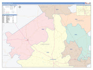 Lampasas County, TX Colorcast Style Wall Map