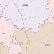 Leon County, TX Colorcast Style Wall Map