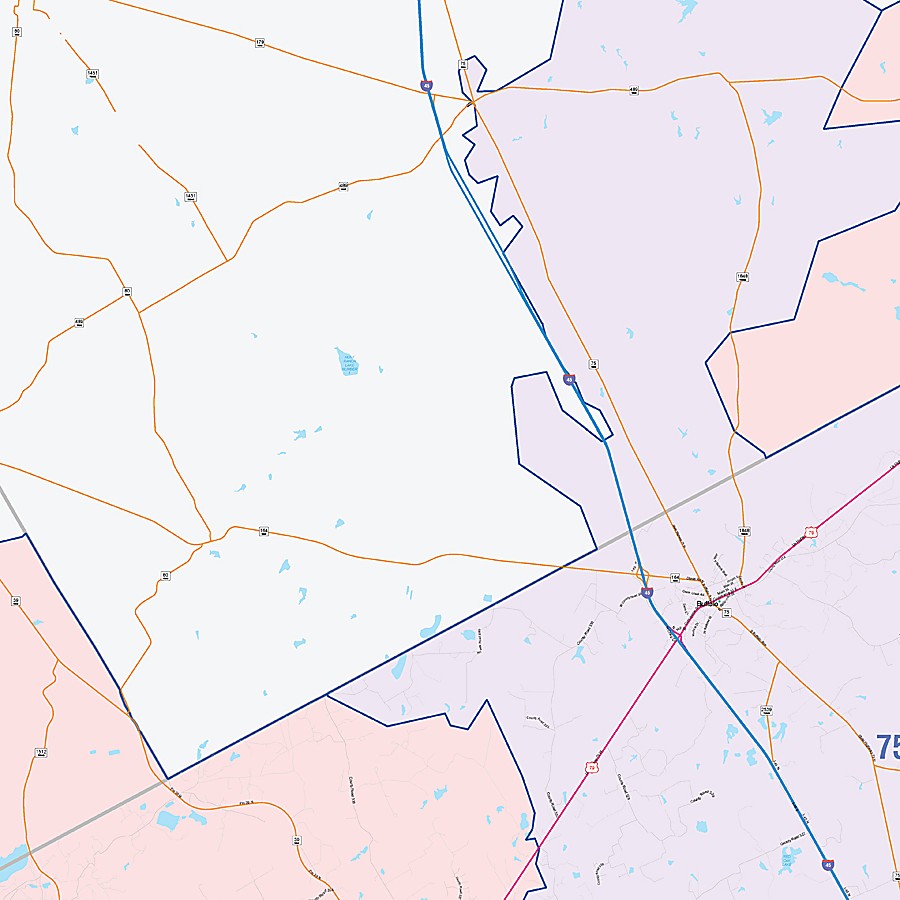 Leon County, TX Colorcast Style Wall Map