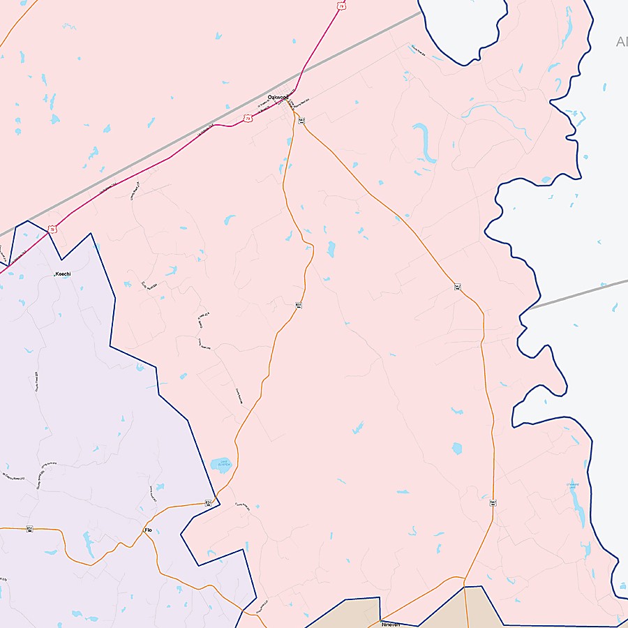 Leon County, TX Colorcast Style Wall Map