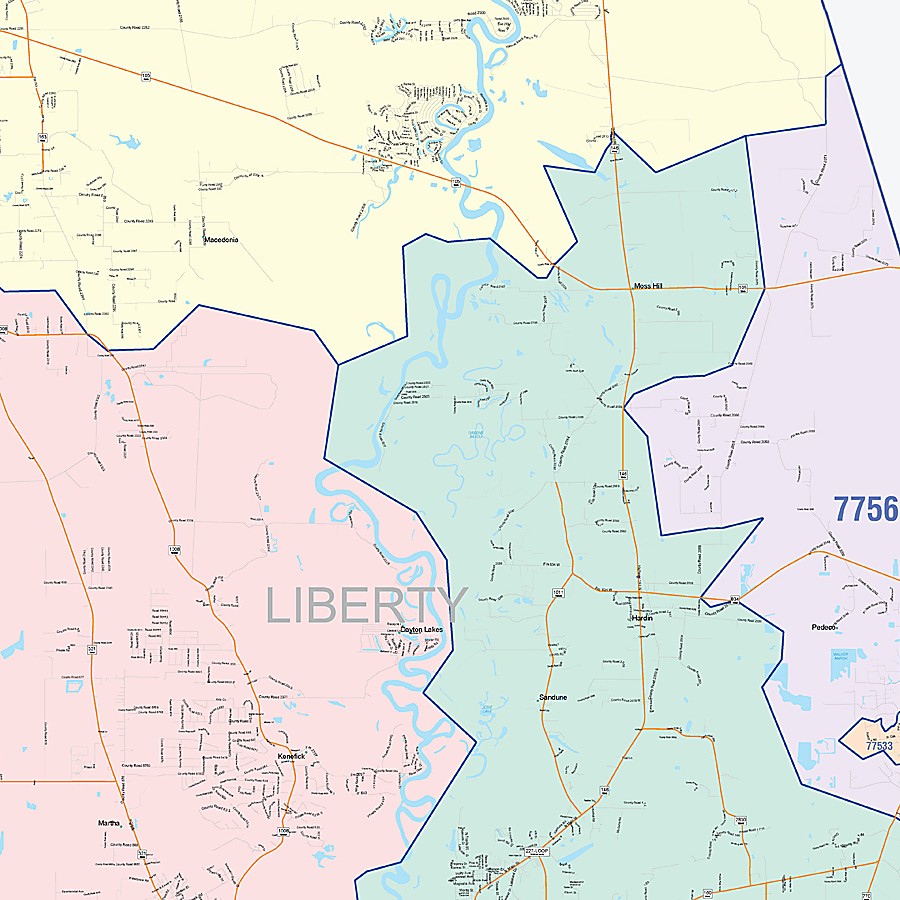 Liberty County, TX Colorcast Style Wall Map