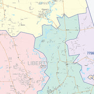 Liberty County, TX Colorcast Style Wall Map