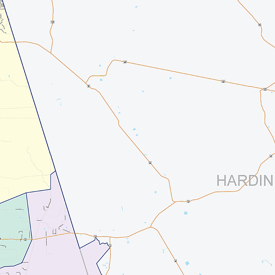 Liberty County, TX Colorcast Style Wall Map